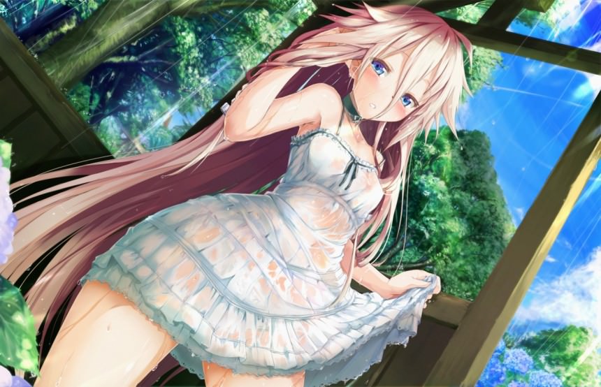        ,    ,  